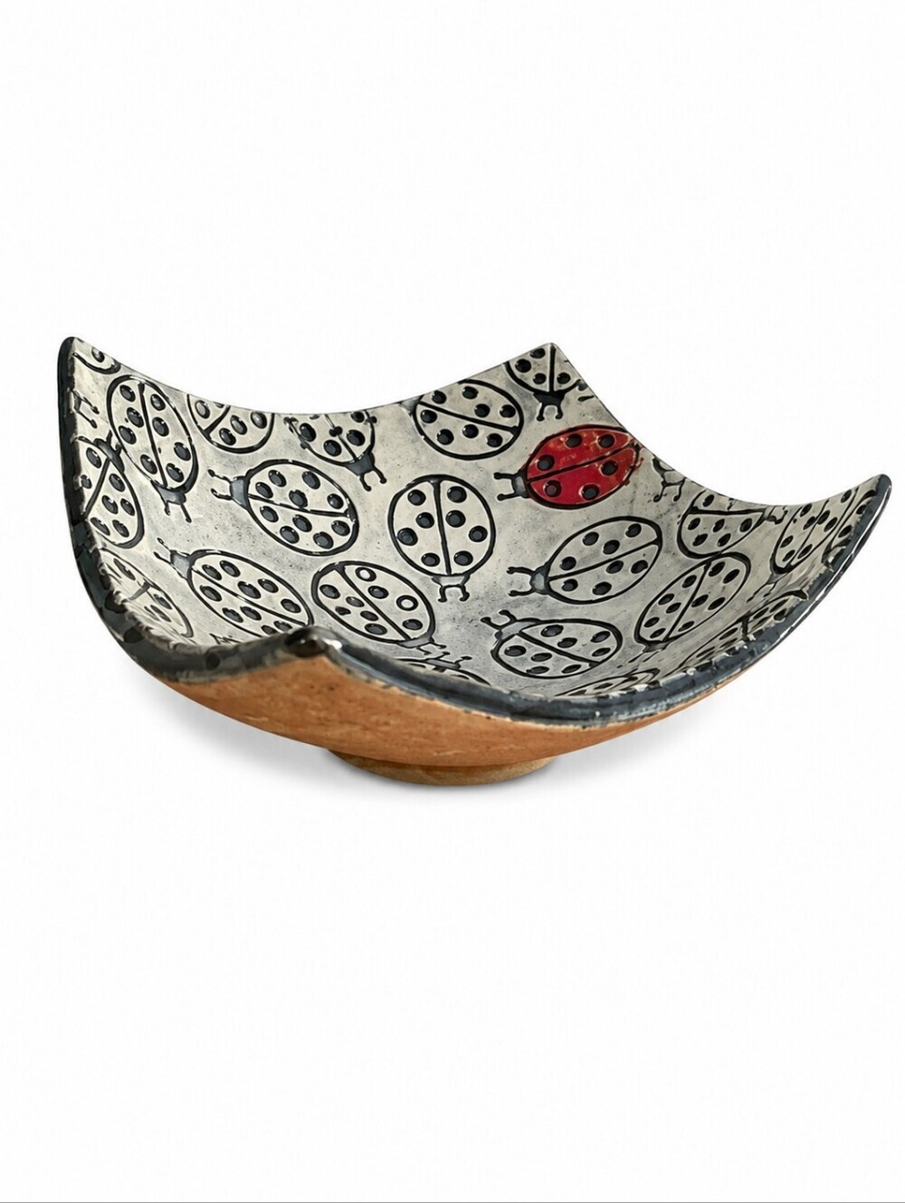 Stoneware Curved Square Ladybug Catch All Table Bowl Dish HOST PICK